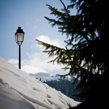 Cosy In A Location * Veysonnaz