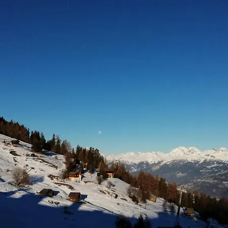 Cosy In A Location Appartamento *