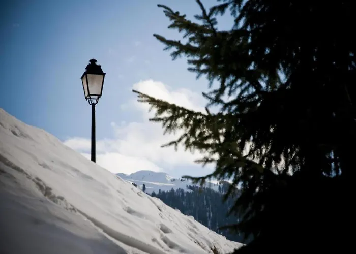 Cosy In A Location * 维松纳